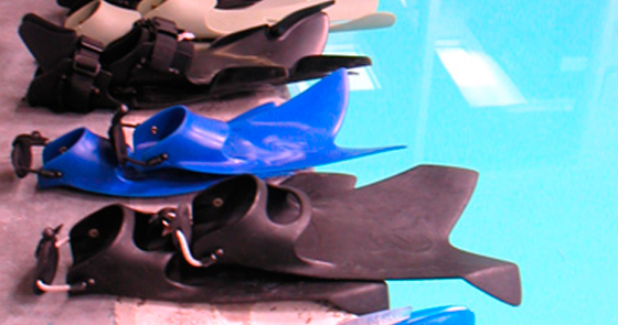Force Fins