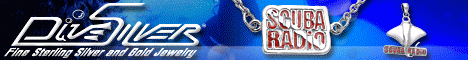 Dive Silver Dive Silver